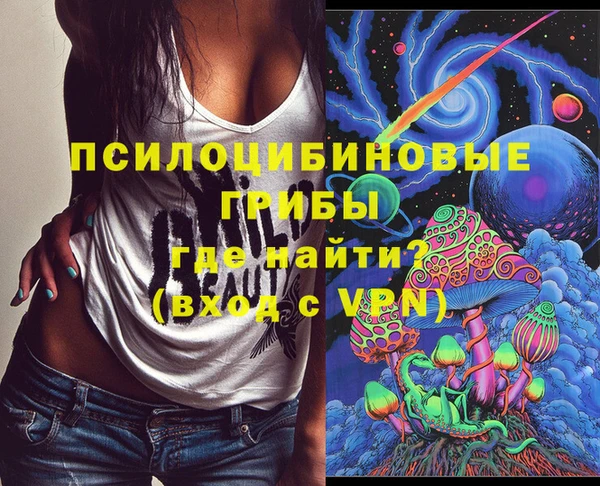 дурь Богородицк