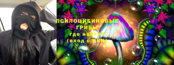твердый Армянск